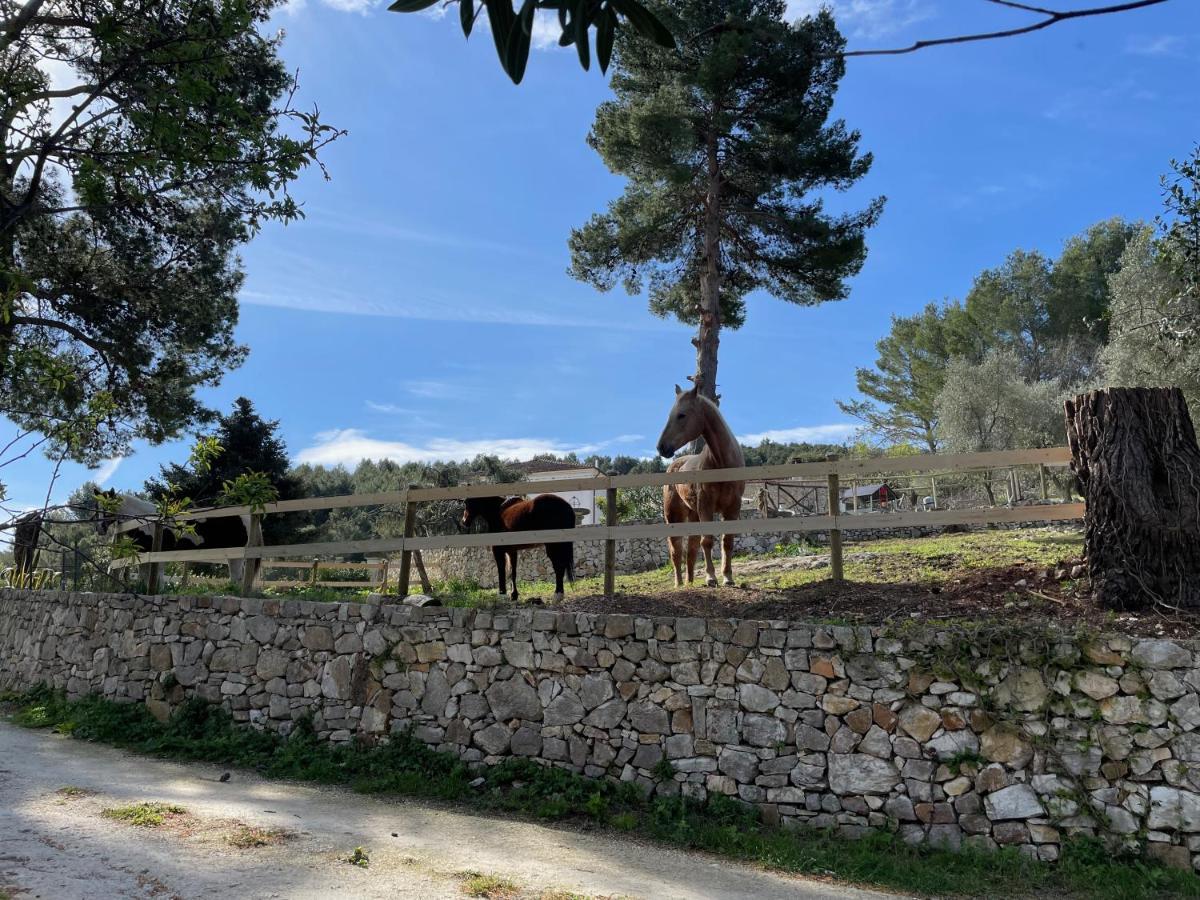 Novecento Country House Vieste Exterior foto